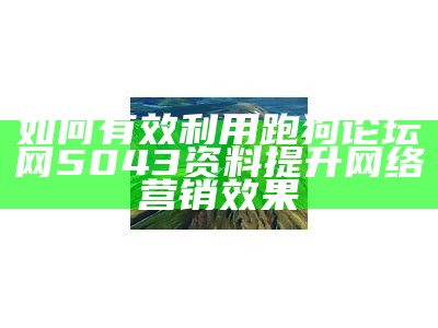 如何有效利用跑狗论坛网5043资料提升网络营销效果