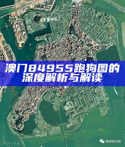 澳门84 955跑狗图的深度解析与解读