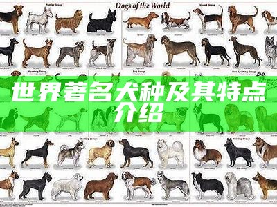 世界著名犬种及其特点介绍