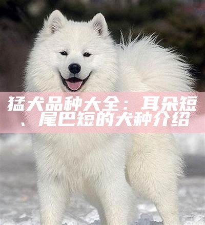 猛犬品种大全：耳朵短、尾巴短的犬种介绍