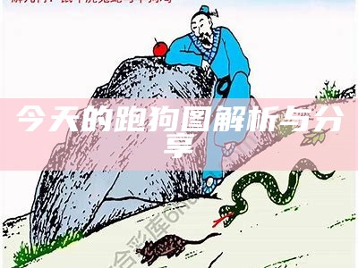 今天的跑狗图解析与分享